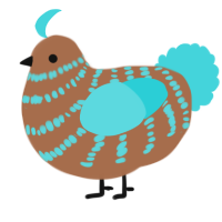 A brown and aqua chicken with a bar pattern