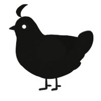A black chicken with a speckle pattern