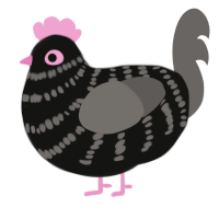 Ashmead, a black and grey chicken with a bar pattern