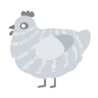 A mist chicken with a bar pattern