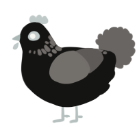 A black and grey chicken with a neck-speckle pattern