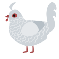A mist chicken with a lace pattern