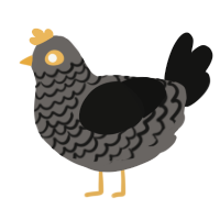 A grey and black chicken with a lace pattern