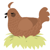 A brown chicken with a lace pattern