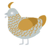 银金, a silver and gold chicken with a lace pattern