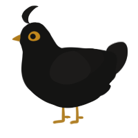 A black and sable chicken