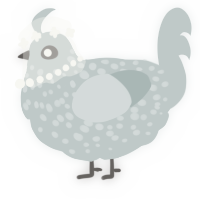 A silver chicken with a speckle pattern