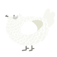 A white chicken with a lace pattern