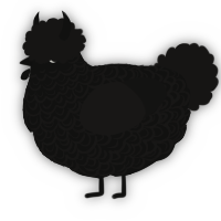 A black and sable chicken with a double-lace pattern