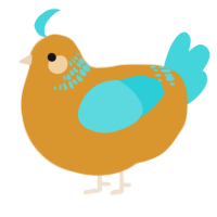 A orange and aqua chicken with a neck-band pattern