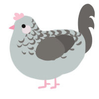 A silver and grey chicken with a half-lace pattern