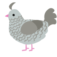 A silver and ash chicken with a lace pattern