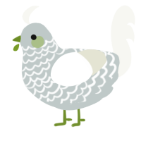 A silver and white chicken with a lace pattern