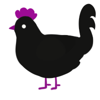 A black chicken