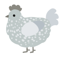 A silver and mist chicken with a speckle pattern