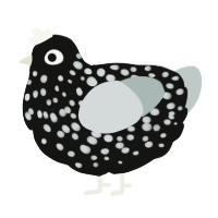 A black and silver chicken with a speckle pattern