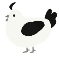 Xenotransplantation, a white and black chicken