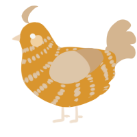 A orange and beige chicken with a bar pattern