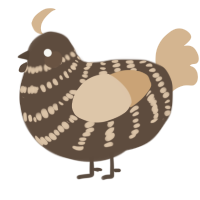 A bark and beige chicken with a bar pattern