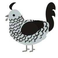 A silver and sable chicken with a lace pattern