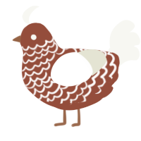 A russet and white chicken with a lace pattern