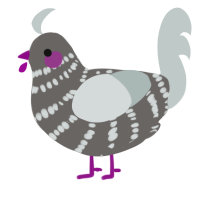 A grey and silver chicken with a bar pattern