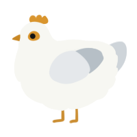 A white and mist chicken