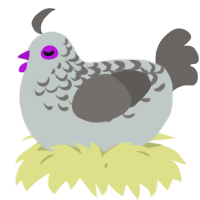 A silver and grey chicken with a half-lace pattern