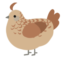 A beige and brown chicken with a half-lace pattern