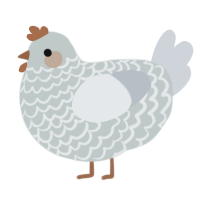 A silver and mist chicken with a lace pattern