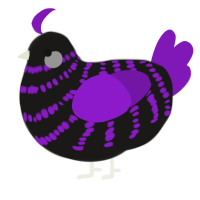 A sable and violet chicken with a bar pattern
