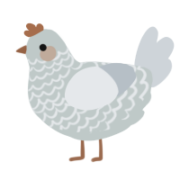 A silver and mist chicken with a lace pattern