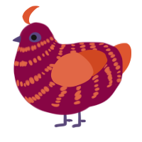 Savanah, a maroon and vermilion chicken with a bar pattern