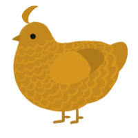 A ochre chicken with a lace pattern