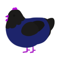 A navy and sable chicken with a head pattern