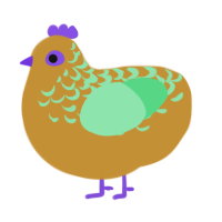 Derrick, a gold and spring chicken with a half-lace pattern