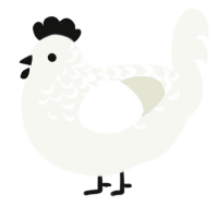 A white chicken with a half-lace pattern