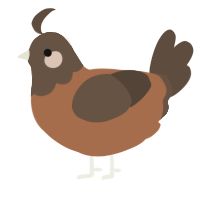 A brown and bark chicken with a head pattern