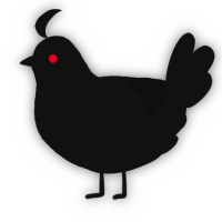 A black chicken with a double-lace pattern