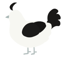 A white and sable chicken