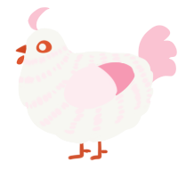 A white and rose chicken with a bar pattern