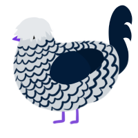 A mist and tumblr chicken with a lace pattern
