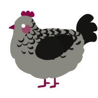 A ash and black chicken with a half-lace pattern