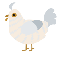 Eggy, a cream and mist chicken with a bar pattern