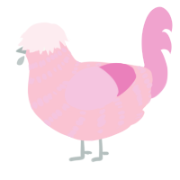 A rose and pink chicken with a bar pattern