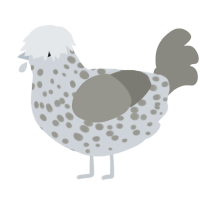 A mist and ash chicken with a speckle pattern