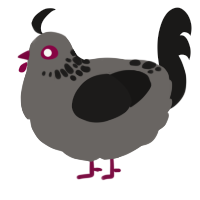 A grey and sable chicken with a neck-speckle pattern
