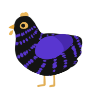 Enderman, a black and indigo chicken with a bar pattern