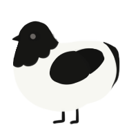 A white and black chicken with a head pattern