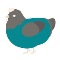 Steve, a teal and grey chicken with a head pattern